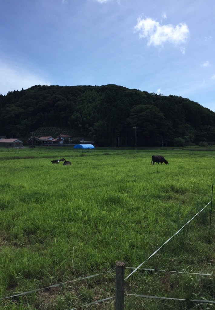 島根　レンタル布団お届け