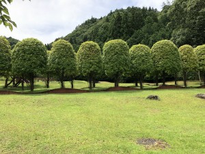 芸術の森1