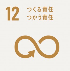 〈持続可能な開発目標〉